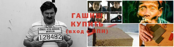 крисы Алексин